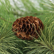 Eastern White Pine Garland - 6ft