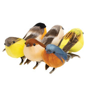 Feathered Spring Bird Clip  (6 Count Assortment)
