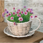 Willow Cup and Saucer