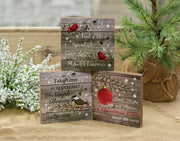 Beauty of the Season Block (3 Count Assortment)