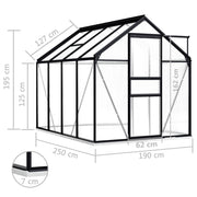 Greenhouse Anthracite and transparent Aluminum and polycarbonate
