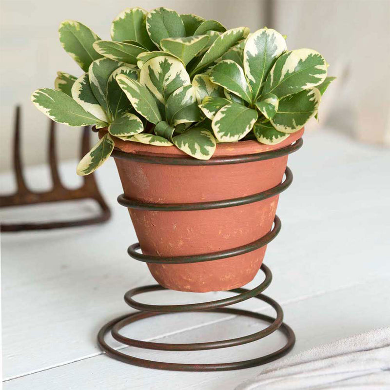 Bedspring Caddy with Terra Cotta Pot - Box of 2