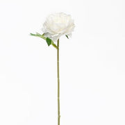 Peony Stem - White