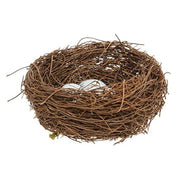 Vine Robin's Nest with Blue Eggs