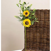 Black-Eyed Susan - Pip - & Spring Greens Spray