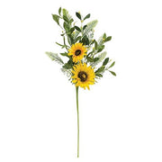 Black-Eyed Susan - Pip - & Spring Greens Spray