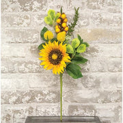 Sunflower & Lemon Pick  (2 Count Assortment)