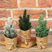 Paper Wrapped Mini Christmas Tree  (3 Count Assortment)