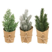 Paper Wrapped Mini Christmas Tree  (3 Count Assortment)