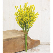 Array Astilbe Bush - Yellow