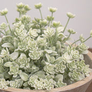 White Star Lavender Buds Half Sphere - 10"