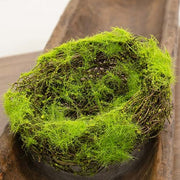Mossy Vine Birdnest - 6"