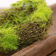Mossy Vine Birdnest - 6"