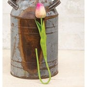 Foamy Tulip Bud Stem - Pink & Green