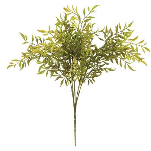 Green Smilax Bush