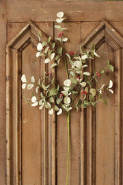 Winter Silver Dollar Spray