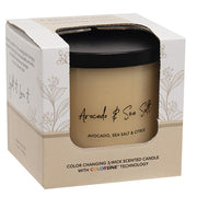 Avocado & Sea Salt Color Changing Candle - 15.5oz (Pack of 12)