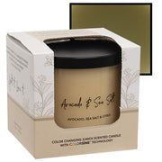 Avocado & Sea Salt Color Changing Candle - 15.5oz (Pack of 12)