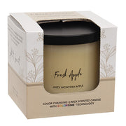Fresh Apple Color Changing Candle - 15.5oz (Pack of 12)