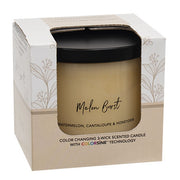Melon Burst Color Changing Candle - 15.5oz (Pack of 12)