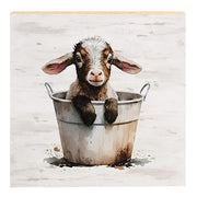 Baby Goat in a Bucket Block