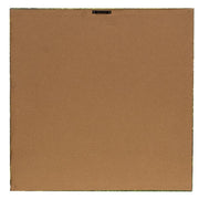 Vintage Garden Bicycle Canvas Print