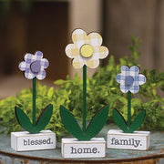 Home - Blessed - Family Gingham Check Daisies on Base (Set of 3)