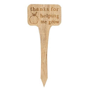 You're Stuck With Me House Plant Poke  (4 Count Assortment)