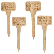 You're Stuck With Me House Plant Poke  (4 Count Assortment)