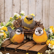 Round Resin Spring Bird  (3 Count Assortment)