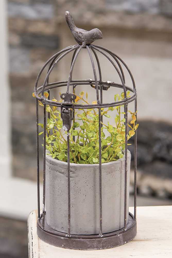 Metal Birdcage with Cement Pot