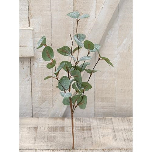 Crisp Air Eucalyptus Pick - 14"