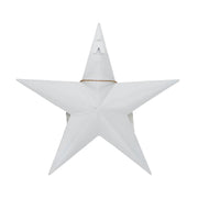 Celebrate Grace Metal Star w/ Risen Tag 12x12