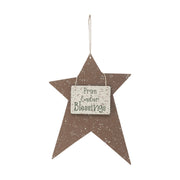 Spring In Bloom Galvanized Metal Prim Easter Blessing Star 9.75x7.3