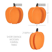 Rustic Orange Wooden Pumpkin Fall Harvest Tabletop Decor Accent 9x8x2 Inch (2 Piece Bundle)