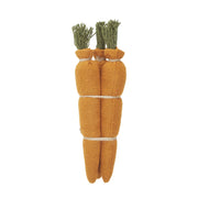 Spring In Bloom Bundle of 3 Carrots (2PC Bundle)
