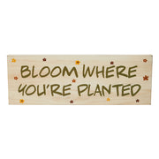 Spring In Bloom Bloom Where You're PlantedWall Sign 5x14x0.75 (2PC Bundle)