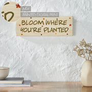 Spring In Bloom Bloom Where You're PlantedWall Sign 5x14x0.75 (2PC Bundle)