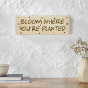 Spring In Bloom Bloom Where You're PlantedWall Sign 5x14x0.75 (2PC Bundle)