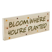Spring In Bloom Bloom Where You're PlantedWall Sign 5x14x0.75 (2PC Bundle)