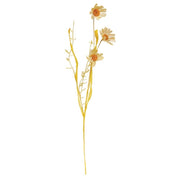 Wispy Daisy & Dried Grass Spray