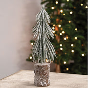 Snowy Long Needle Pine Tree - 10.5"