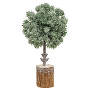 Frosted Balsam Fir Topiary - 10"