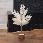 Frosty Dreams Spruce Tree - 12"