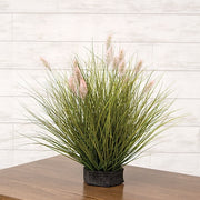 Onion Grass & Bunny Tail Pot Filler