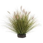 Onion Grass & Bunny Tail Pot Filler