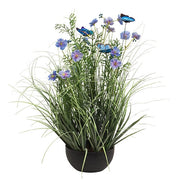 Potted Blue Cosmos with Onion Grass & Butterflies