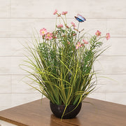 Potted Pink Cosmos with Onion Grass & Butterflies