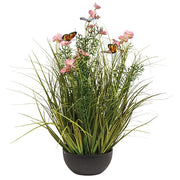 Potted Pink Cosmos with Onion Grass & Butterflies