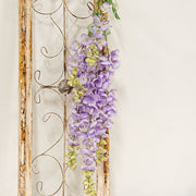 Weeping Purple Plum Branch - 44"